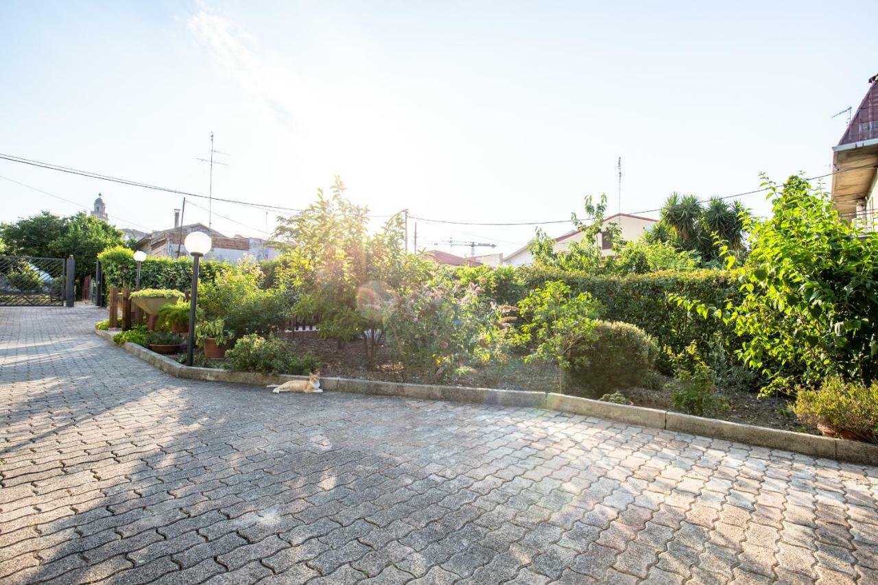 Selene Beb Bed & Breakfast Casalbordino Dış mekan fotoğraf